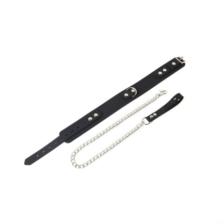 Silicone Collar and Leash from SM Domain.